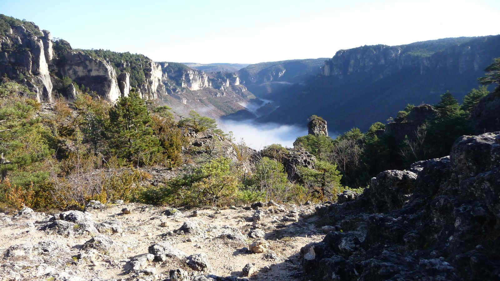 Les Gorges de la Jonte