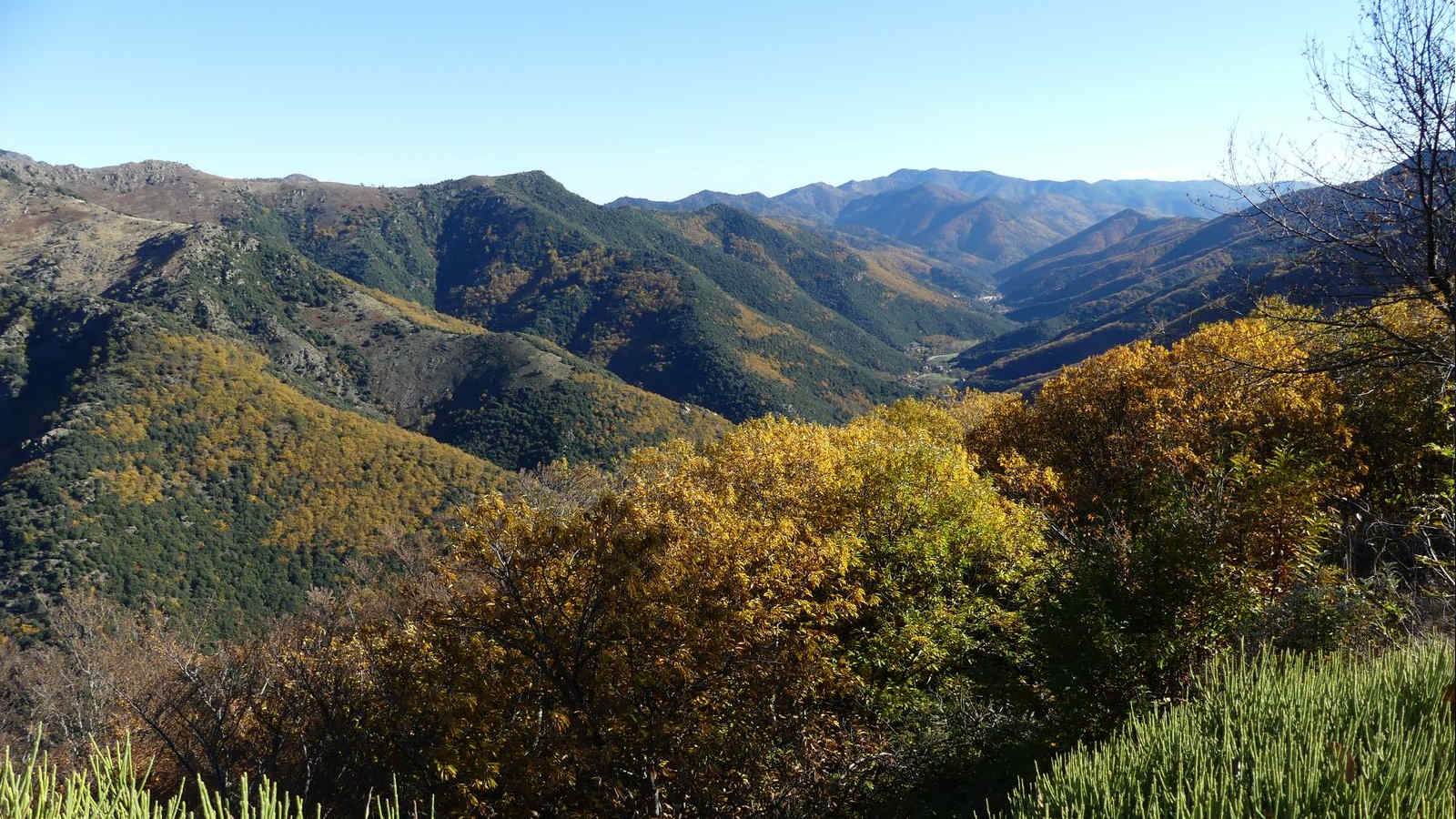 Vallée Borgne en Cévennes