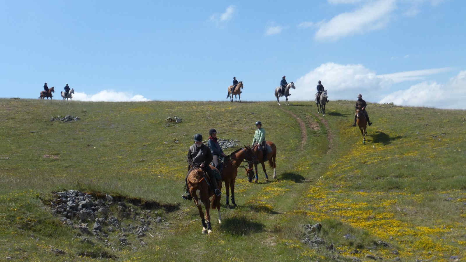 rando equestre Causse Méjean