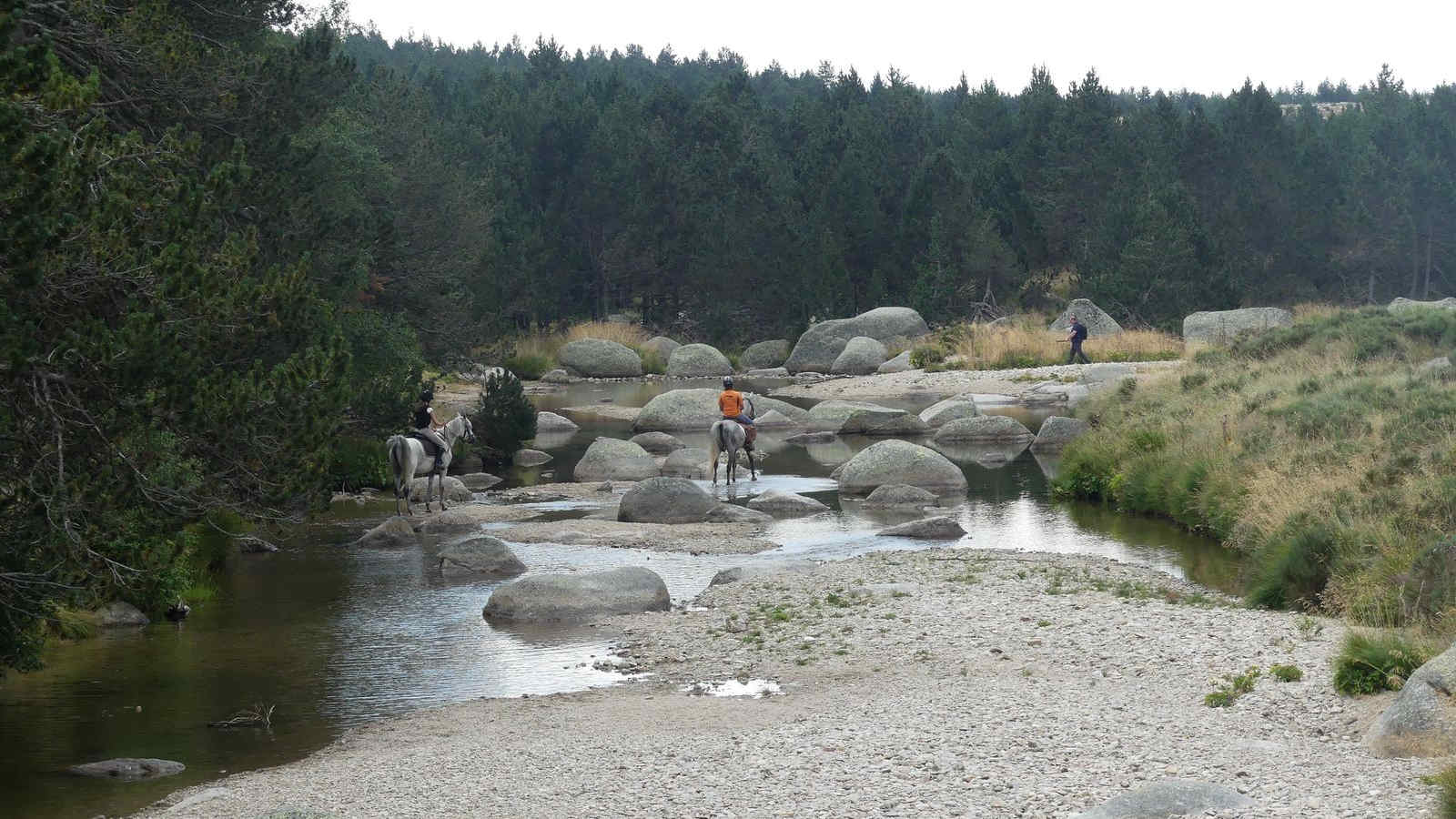 Baignade dans la source du Tarn su Le Mont Lozère