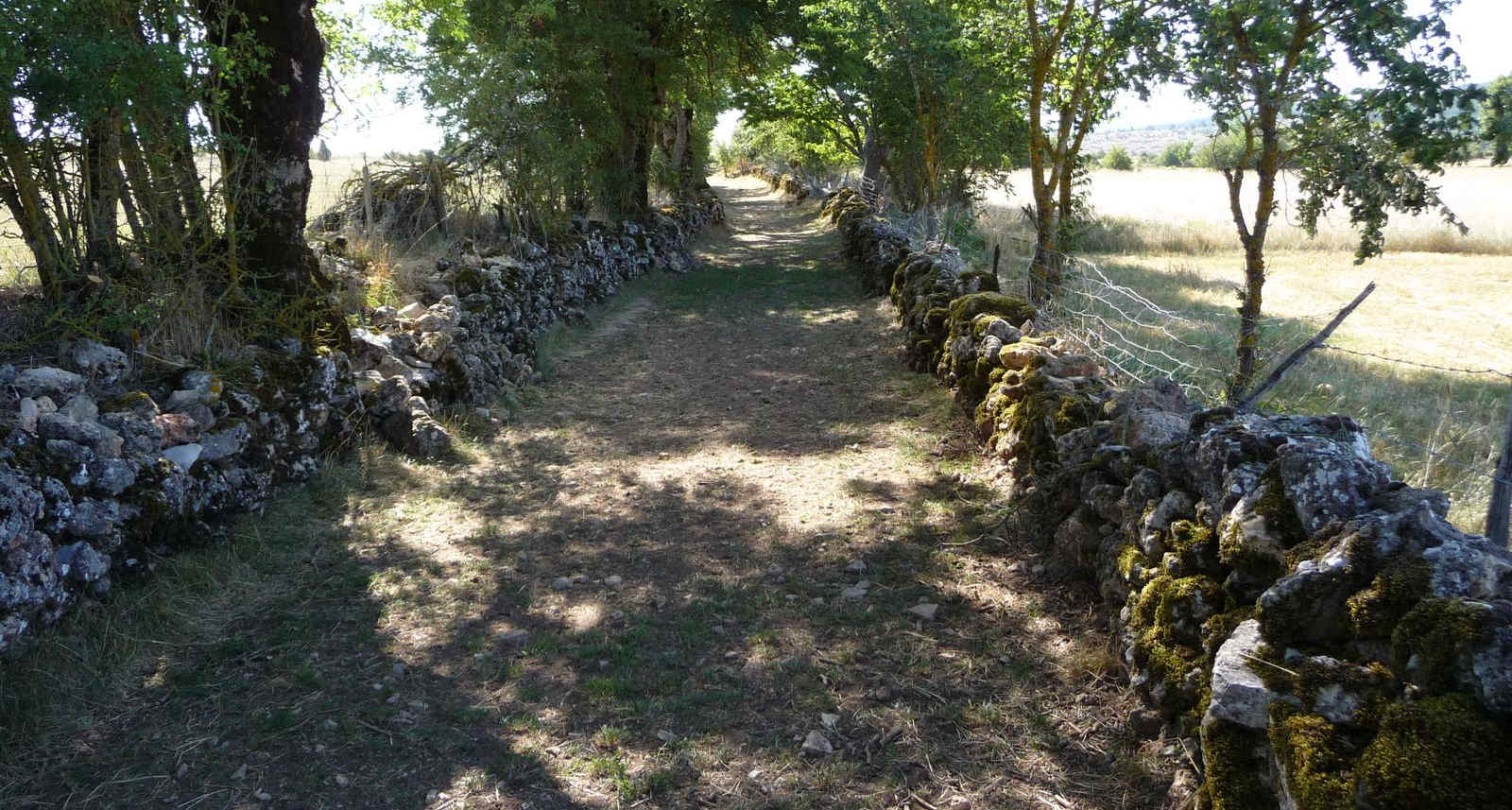 randonnée Mont Lozère